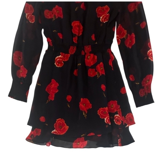 Intermix Kayla Poppy Floral 100% Silk Mini Short Dress, Black/Red, Size 0 - Picture 11 of 16